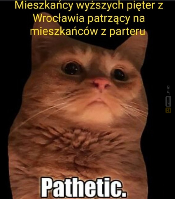 Śmieszny mem: 3049738 - MemLand