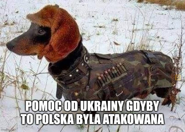 Śmieszny mem: 3053276 - MemLand