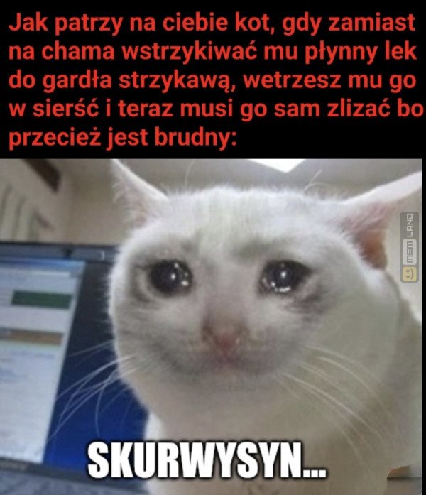 Śmieszny mem: 3053474 - MemLand