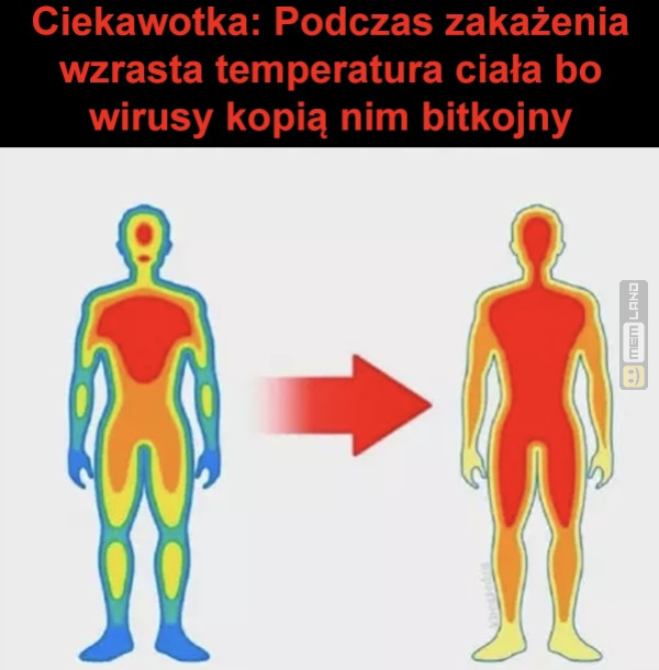 Śmieszny mem: 3053851 - MemLand