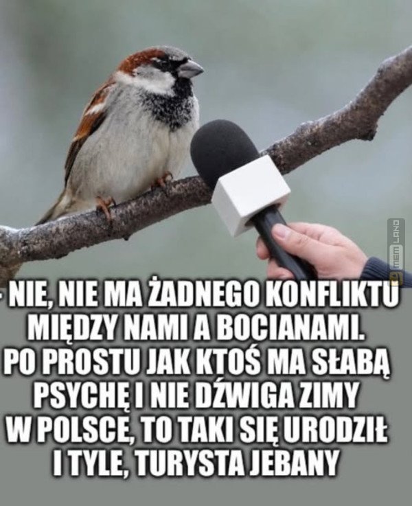 Śmieszny mem: 3056384 - MemLand