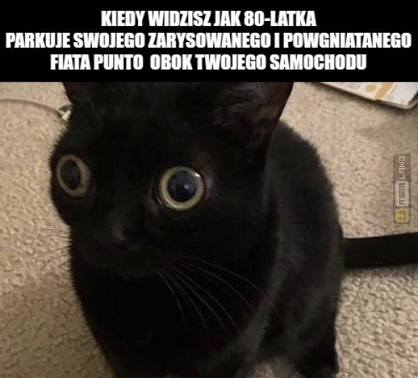 Śmieszny mem: 3057965 - MemLand