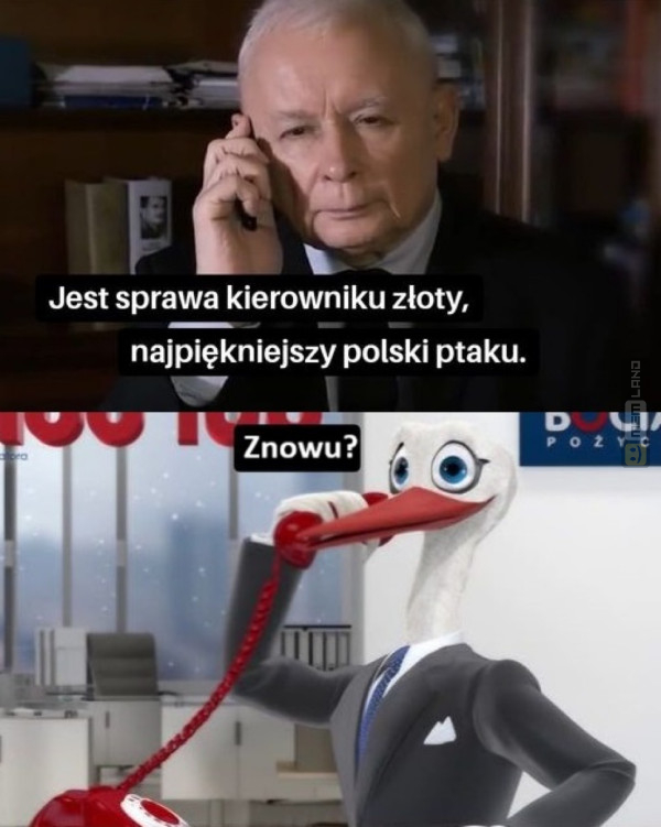 Śmieszny mem: 3058761 - MemLand