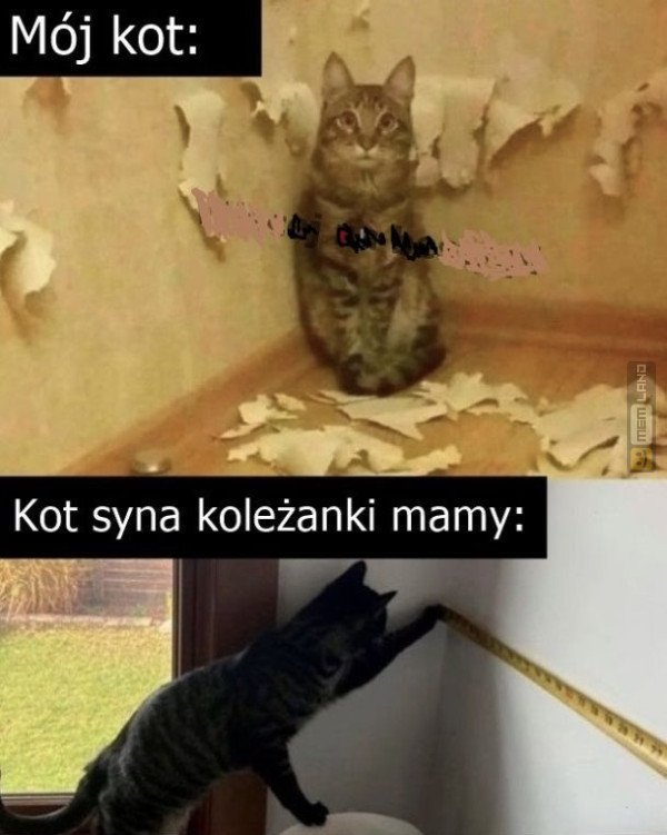 Śmieszny mem: 3059871 - MemLand