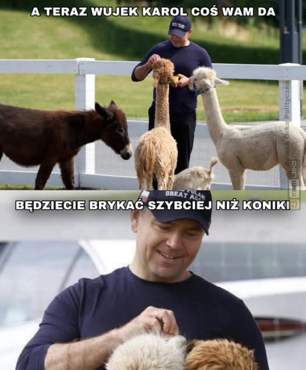 Śmieszny mem: 3069878 - MemLand