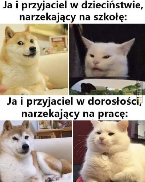 Śmieszny mem: 3075360 - MemLand