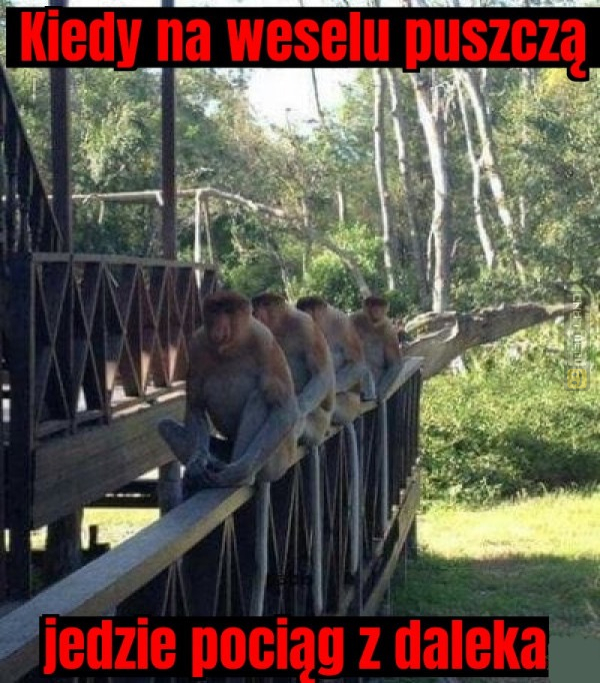 Śmieszny mem: 3079392 - MemLand