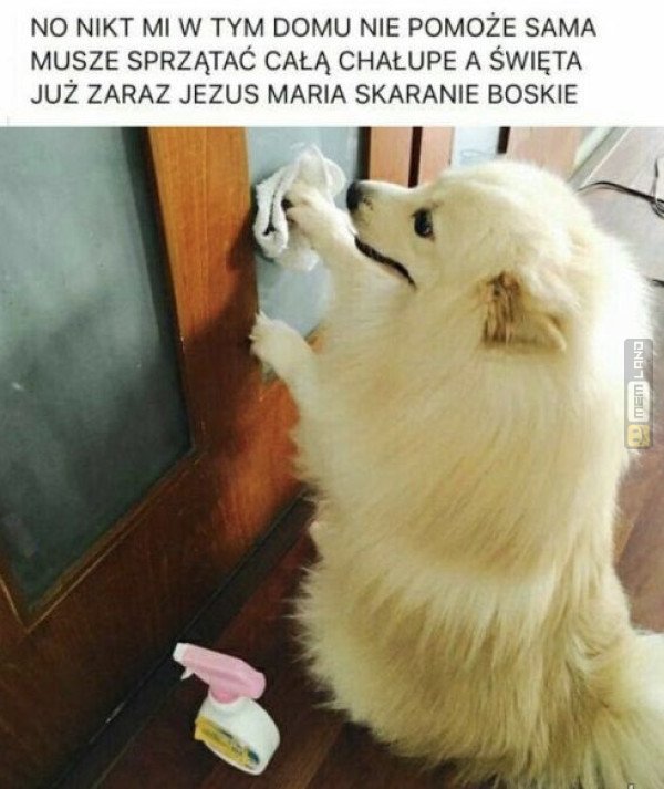 Śmieszny mem: 3083782 - MemLand