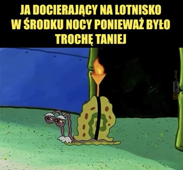 Śmieszny mem: 3086602 - MemLand