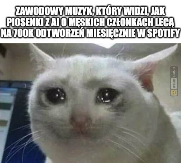 Śmieszny mem: 3087287 - MemLand
