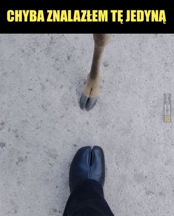 Śmieszny mem: 3089343 - MemLand
