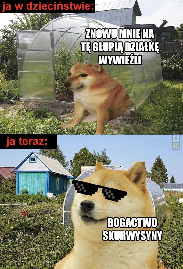 Śmieszny mem: 3091480 - MemLand