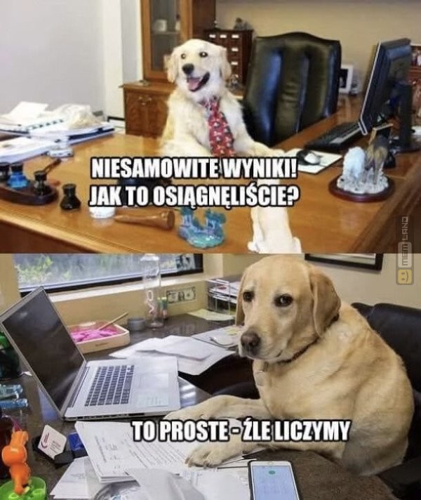 Śmieszny mem: 3112906 - MemLand