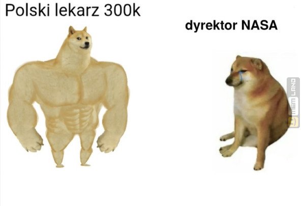 Śmieszny mem: 3114655 - MemLand