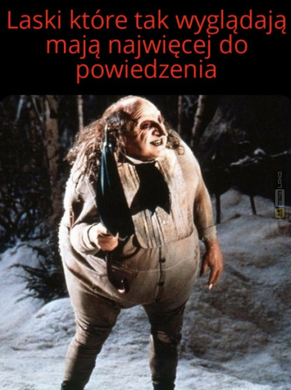 Śmieszny mem: 3115093 - MemLand