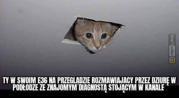 Śmieszny mem: 3116005 - MemLand