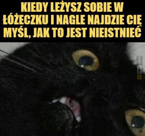 Śmieszny mem: 3120419 - MemLand