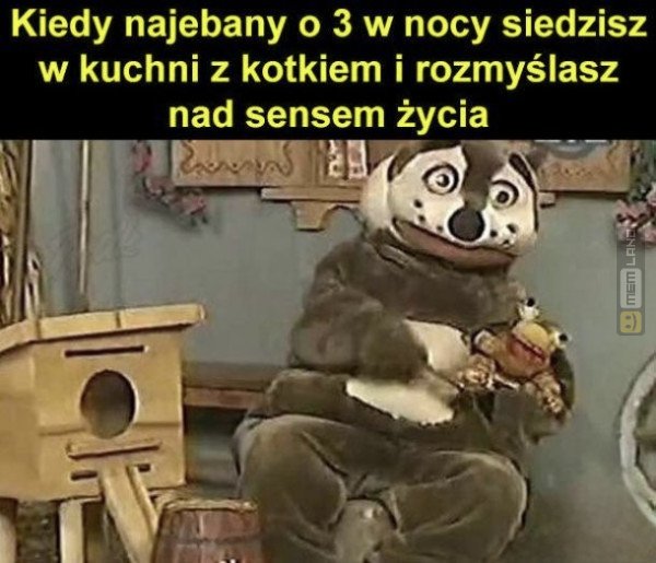 Śmieszny mem: 3124200 - MemLand
