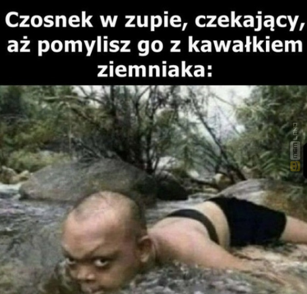 Śmieszny mem: 3124256 - MemLand