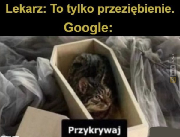 Śmieszny mem: 3127210 - MemLand