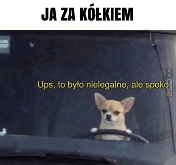 Śmieszny mem: 3129513 - MemLand