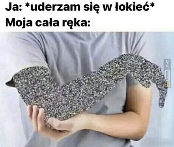 Śmieszny mem: 3145969 - MemLand