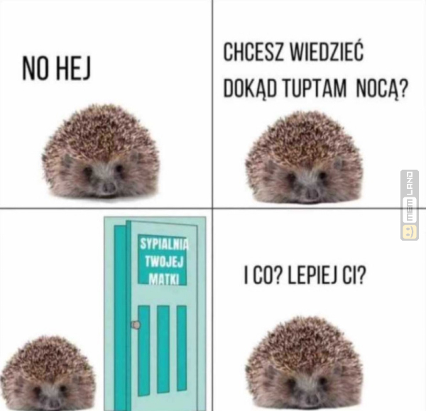 Śmieszny mem: 3150147 - MemLand