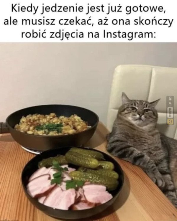 Śmieszny mem: 3163977 - MemLand