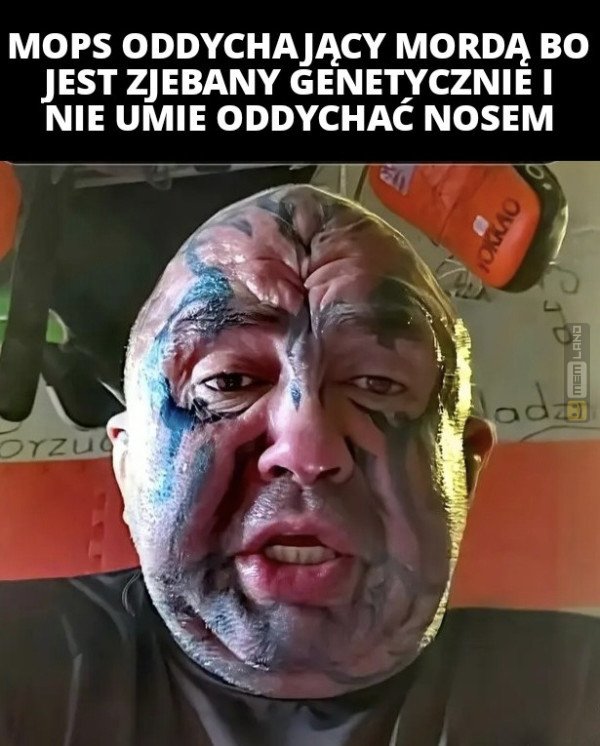 Śmieszny mem: 3170239 - MemLand