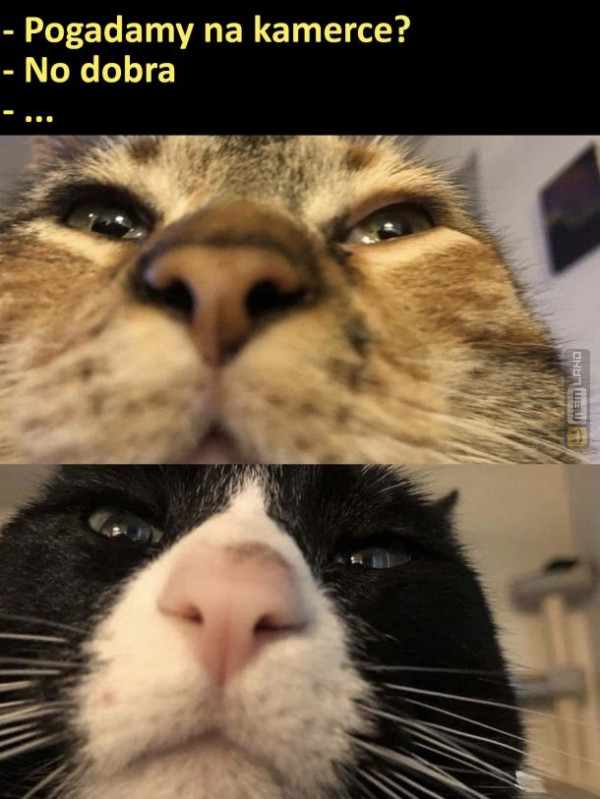 Śmieszny mem: 3180851 - MemLand