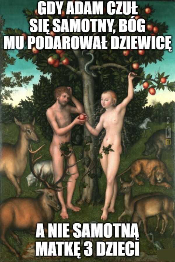 Śmieszny mem: 3192826 - MemLand