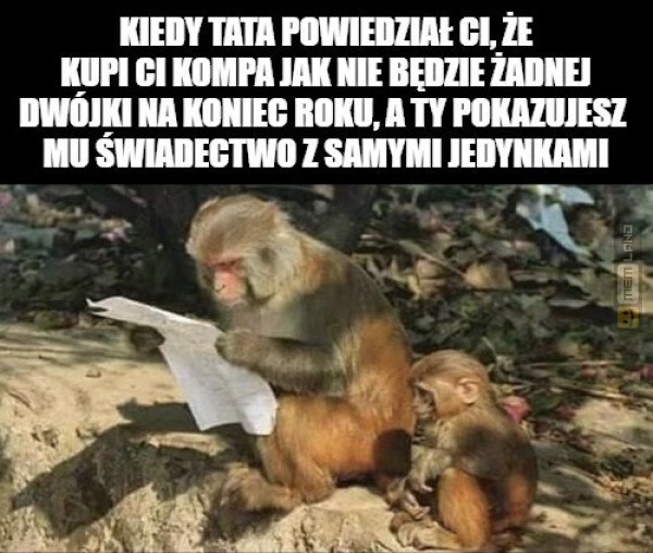 Śmieszny mem: 3206873 - MemLand