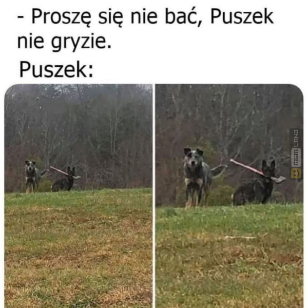 Śmieszny mem: 3207743 - MemLand