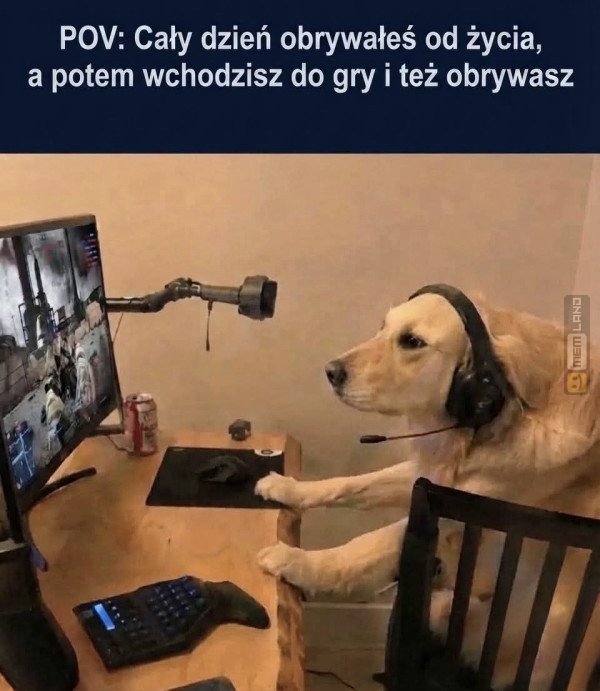 Śmieszny mem: 3213512 - MemLand