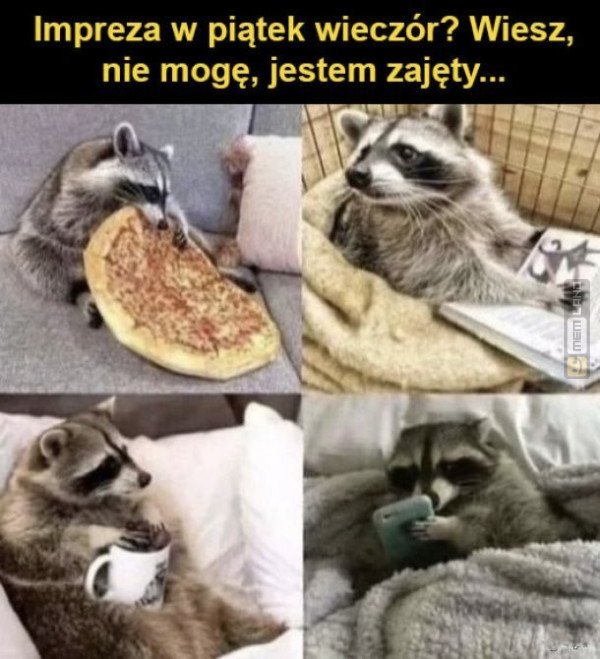 Śmieszny mem: 3213992 - MemLand