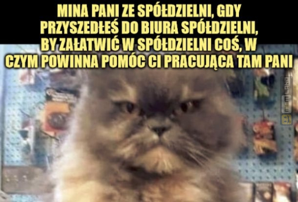 Śmieszny mem: 3217351 - MemLand