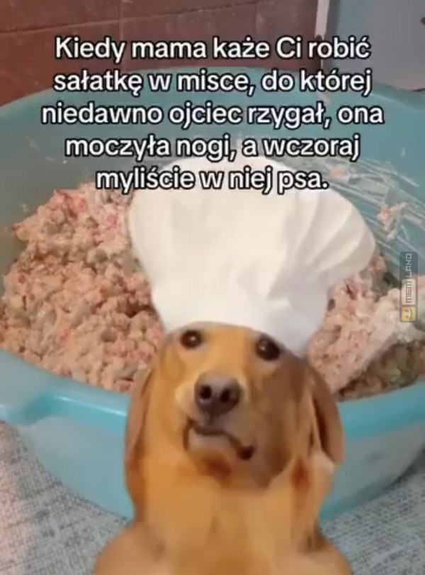 Śmieszny mem: 3225351 - MemLand