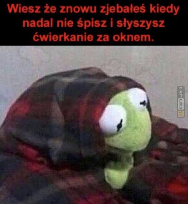 Śmieszny mem: 3228530 - MemLand