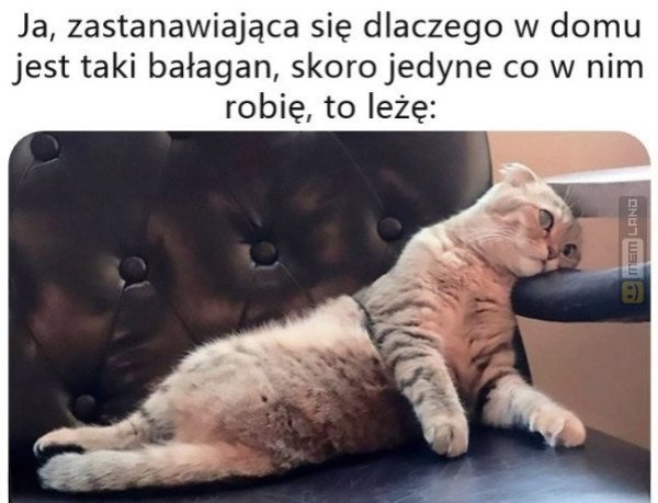 Śmieszny mem: 3231612 - MemLand