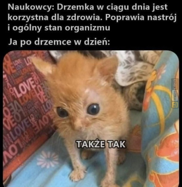 Śmieszny mem: 3231671 - MemLand