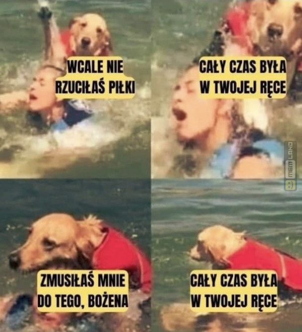 Śmieszny mem: 3236362 - MemLand