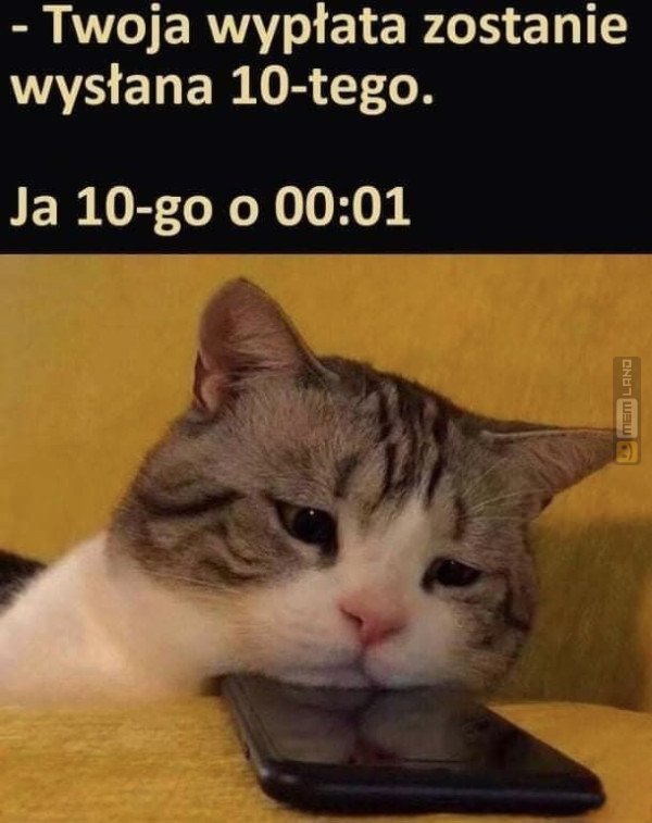 Śmieszny mem: 3239260 - MemLand