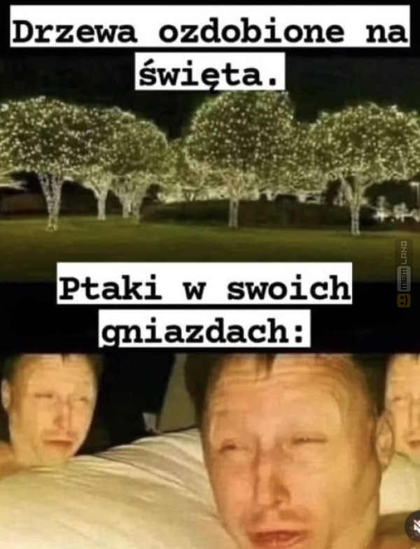 Śmieszny mem: 3242568 - MemLand