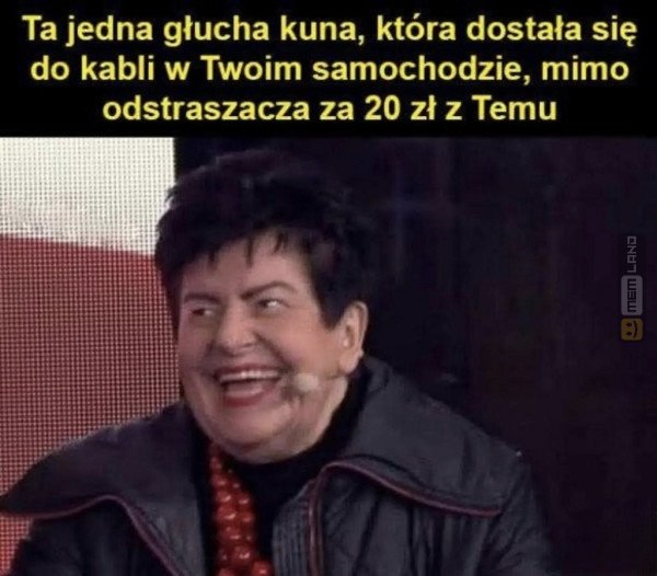 Śmieszny mem: 3253880 - MemLand