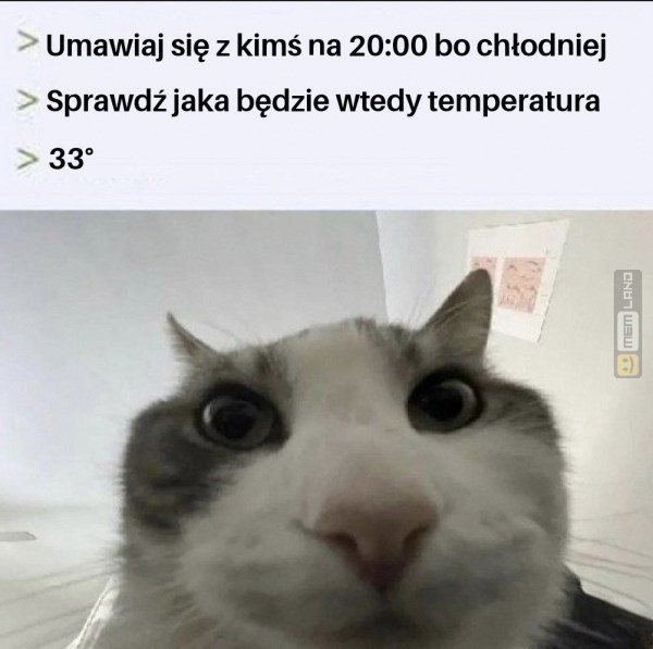 Śmieszny mem: 3256990 - MemLand