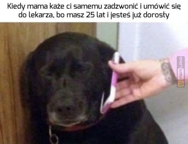 Śmieszny mem: 3263605 - MemLand