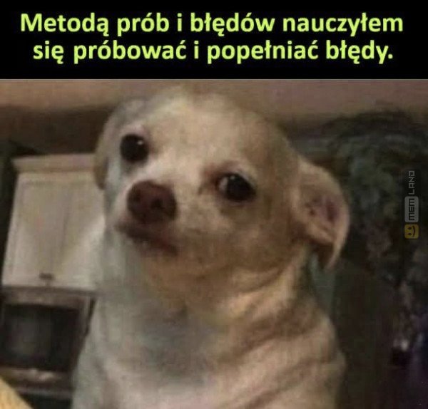 Śmieszny mem: 3271650 - MemLand