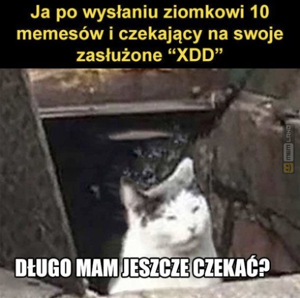 Śmieszny mem: 3274626 - MemLand