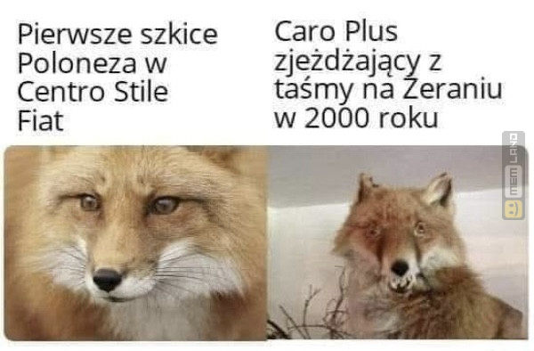 Śmieszny mem: 3275181 - MemLand