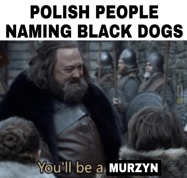 Śmieszny mem: 3275369 - MemLand